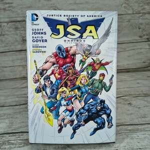 JSA Omnibus by Geoff Johns & David Goyer Vol. 1 (DC Comics July 2014, Hardcover)